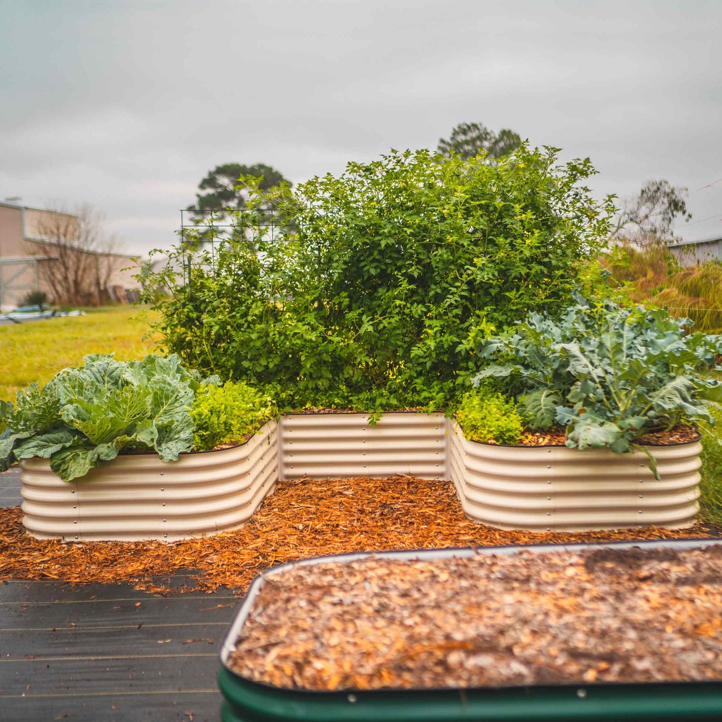 17" Tall U Shaped Raised Garden Bed Jumbo Size | Metal - Tampa soil911.com
