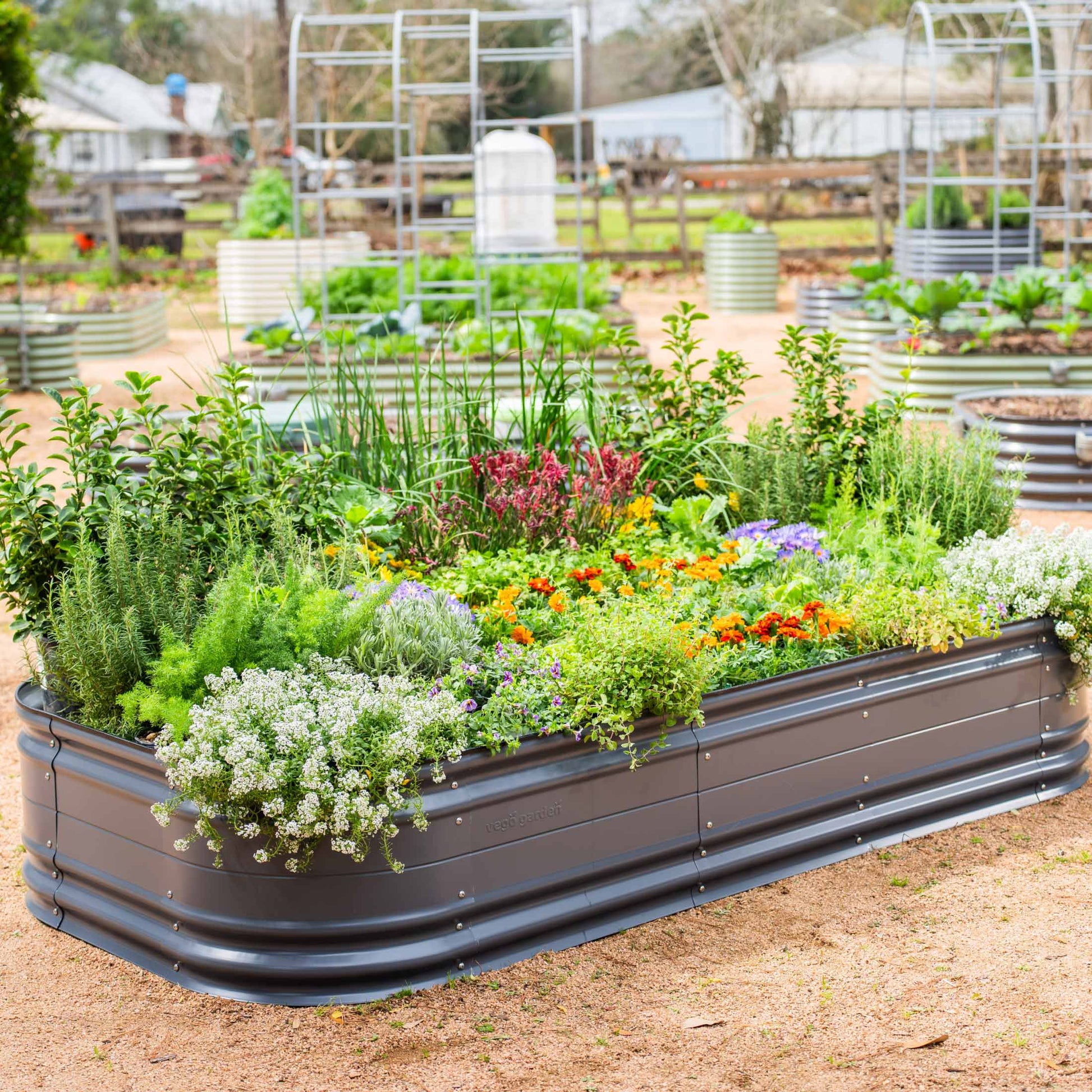 17" Tall Novel Raised Garden Bed Kit Jumbo 10 in 1 Modular Metal - Tampa soil911.com