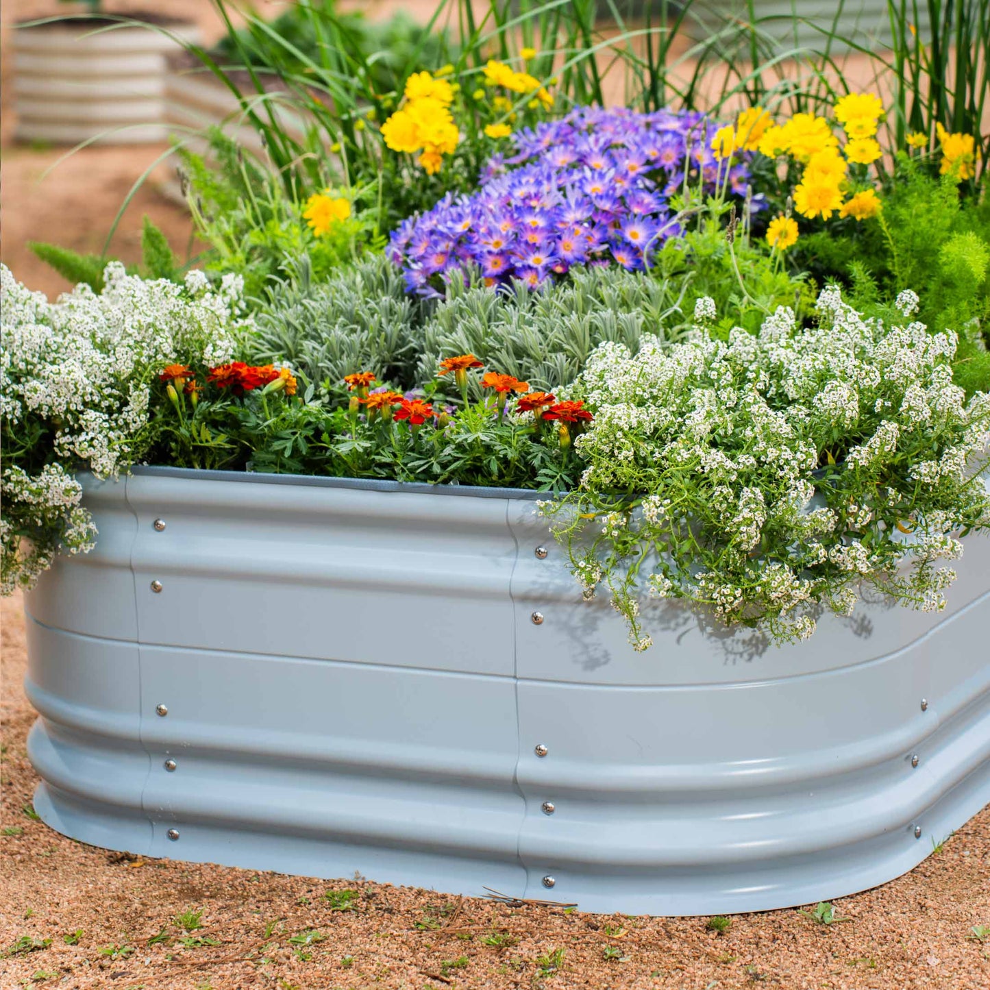 17" Tall Novel Raised Garden Bed Kit Jumbo 10 in 1 Modular Metal - Tampa soil911.com