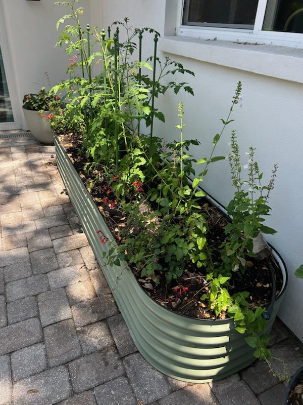2.5x9.5 raised bed garden installed on Patio in Tampa.