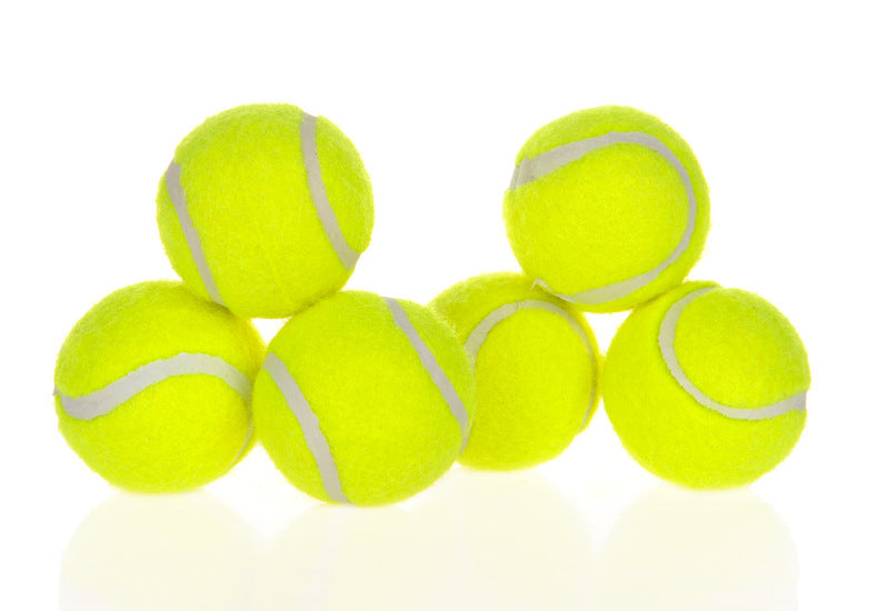 Dog ball launcher accessories: yellow tennis balls, set of 6, Balls & Chasers on Tampa Home & Garden Store