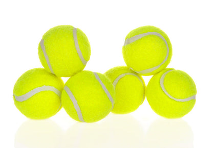 Dog ball launcher accessories: yellow tennis balls, set of 6, Balls & Chasers on Tampa Home & Garden Store