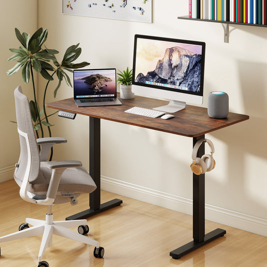 48 Inch x 24 Inch Ergonomic Electric Standing Desk with 3 Memory Settings for Home Office - Tampa Home & Garden Store