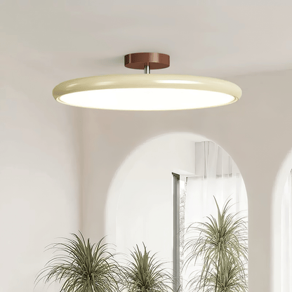 LED Flush Mount Ceiling Light And Swivel Arm