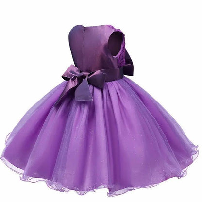 Princess Flower Girl Dress Summer Tutu and Party