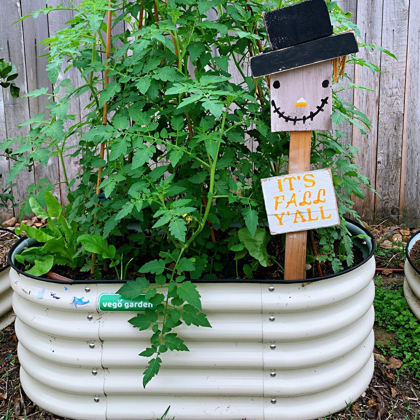 17" Tall Kids Raised Garden Bed 42" x 24" Metal