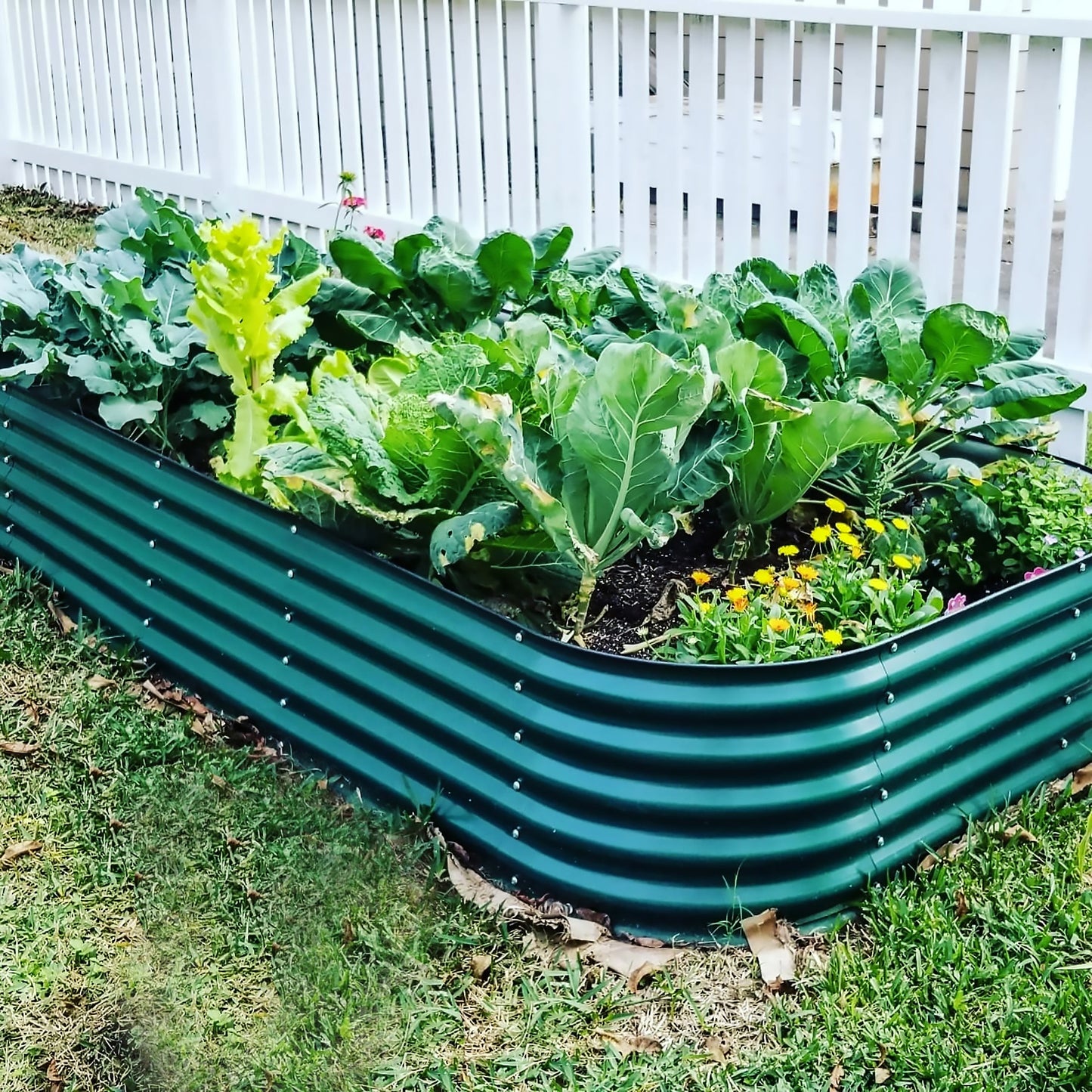 17" Tall Metal Raised Garden Bed Jumbo 10 in 1 Modular