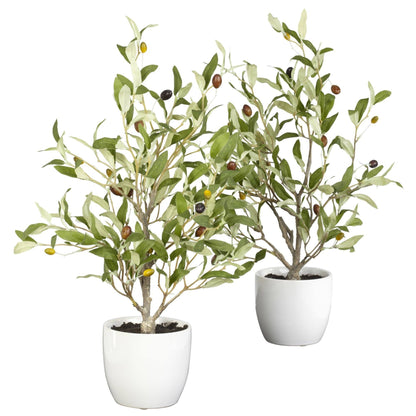 18" Olive Silk Tree w/Vase (Set of 2)" - Tampa Home & Garden Store