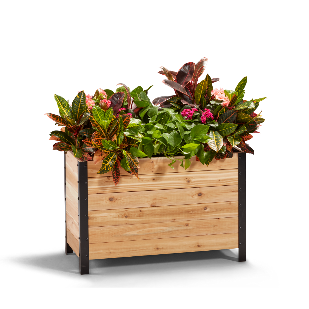 18" x 36" Planter Box - 24" TALL / Select Grade - Tampa Home & Garden Store