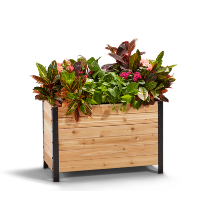 18" x 36" Planter Box - 24" TALL / Select Grade - Tampa Home & Garden Store