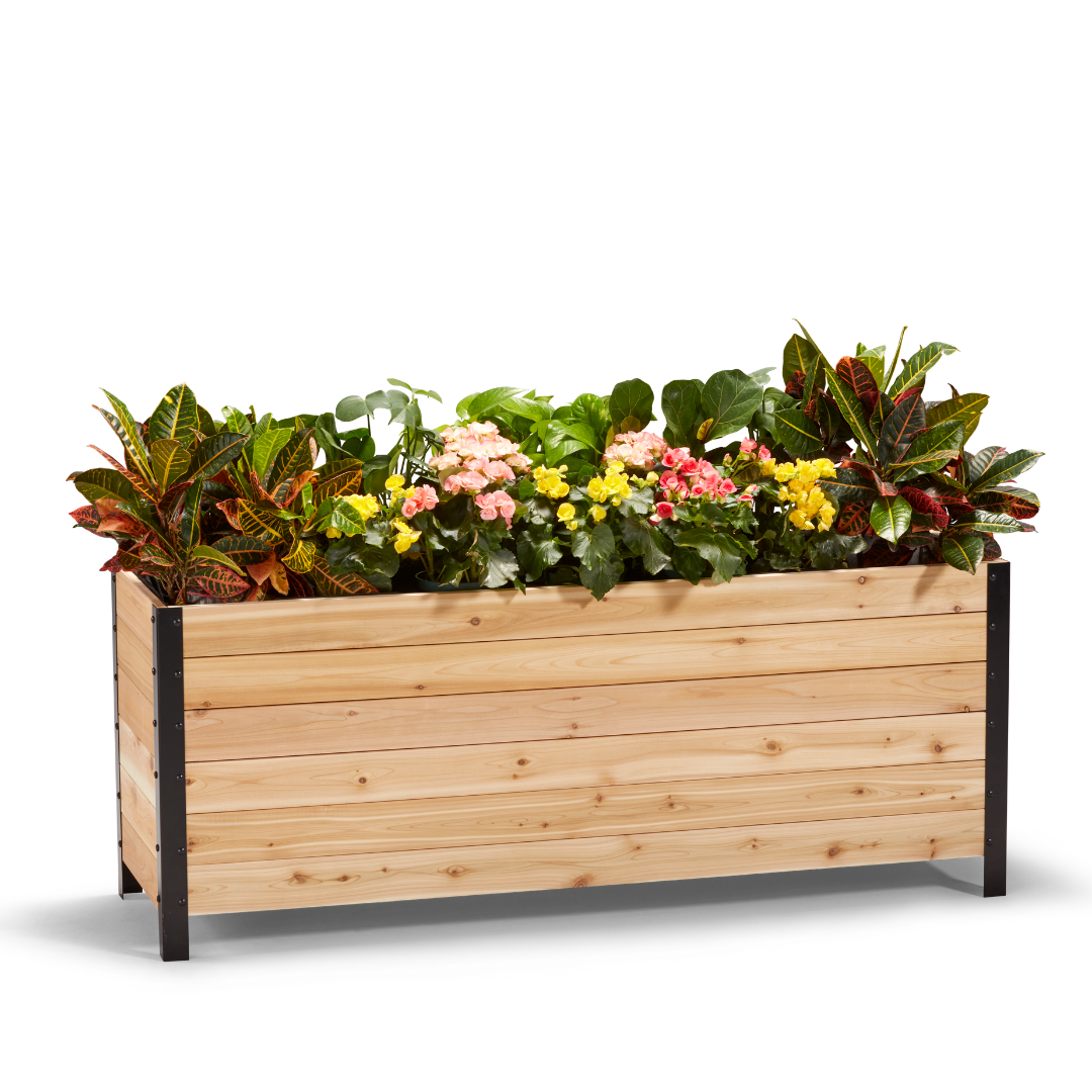 18" x 60" Planter Box - 24" TALL / Select Grade - Tampa Home & Garden Store
