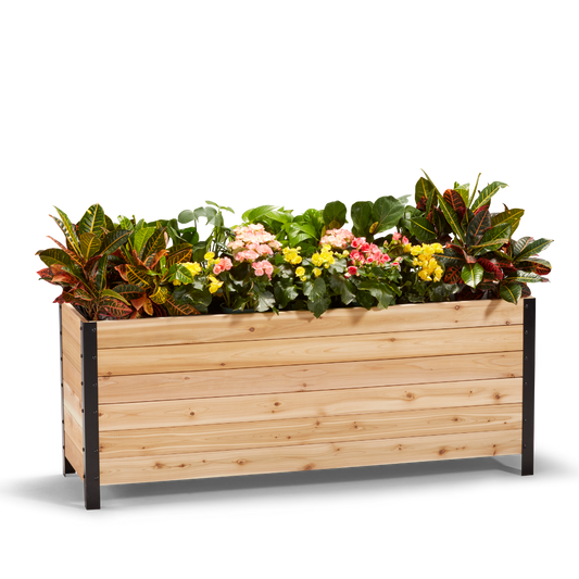 18" x 60" Planter Box - 24" TALL / Select Grade - Tampa Home & Garden Store