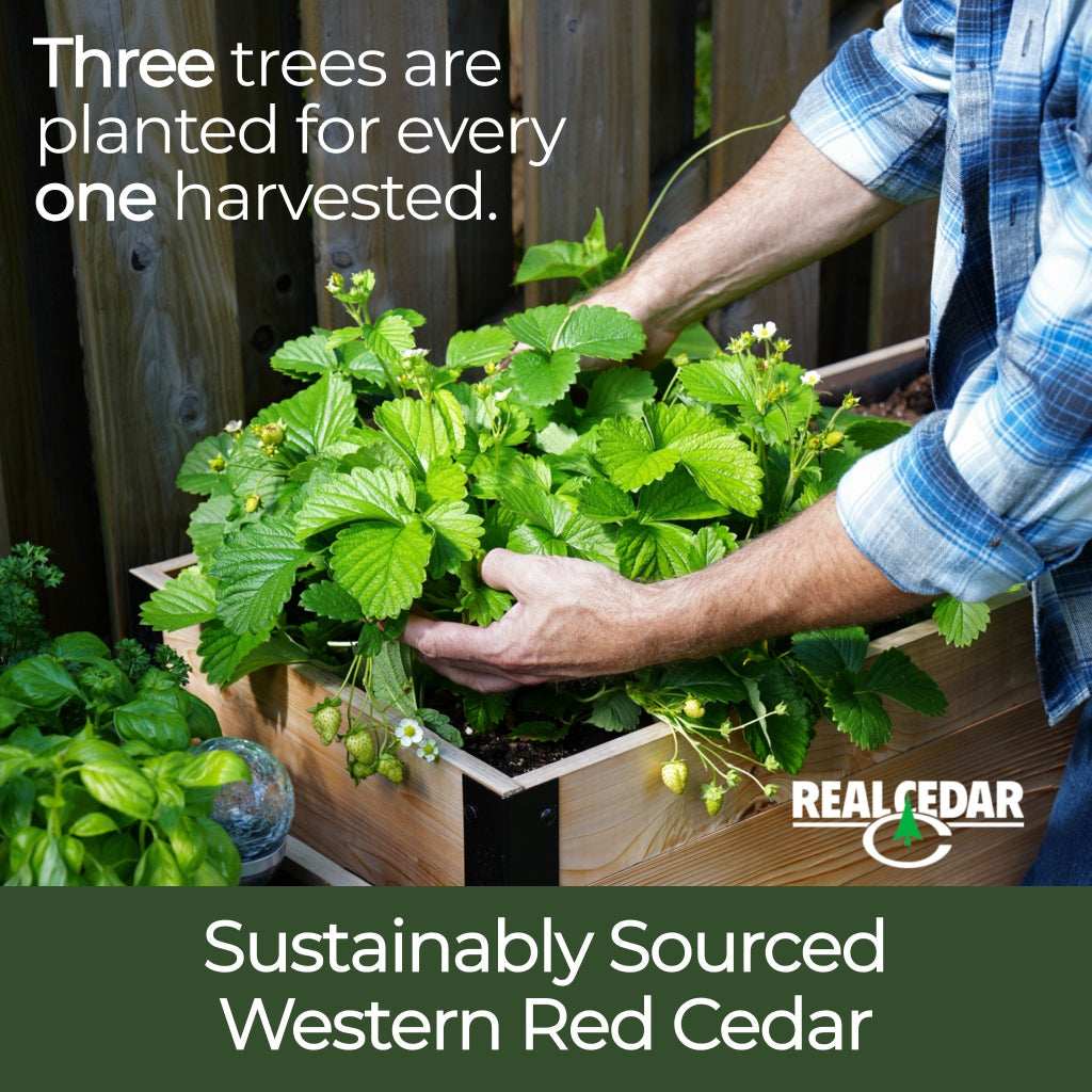 Jardinera de 18" x 60" - 24" de alto / Grado seleccionado