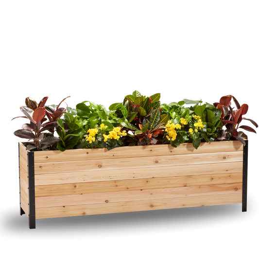 18" x 72" Planter Box - 24" TALL / Select Grade