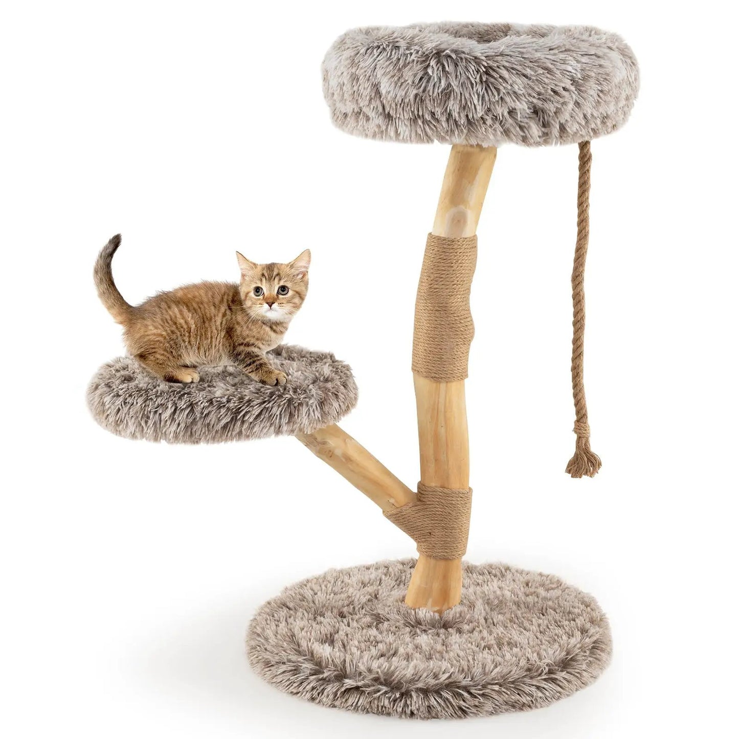 Modern Wooden Cat Tree With Perch and Jute Posts