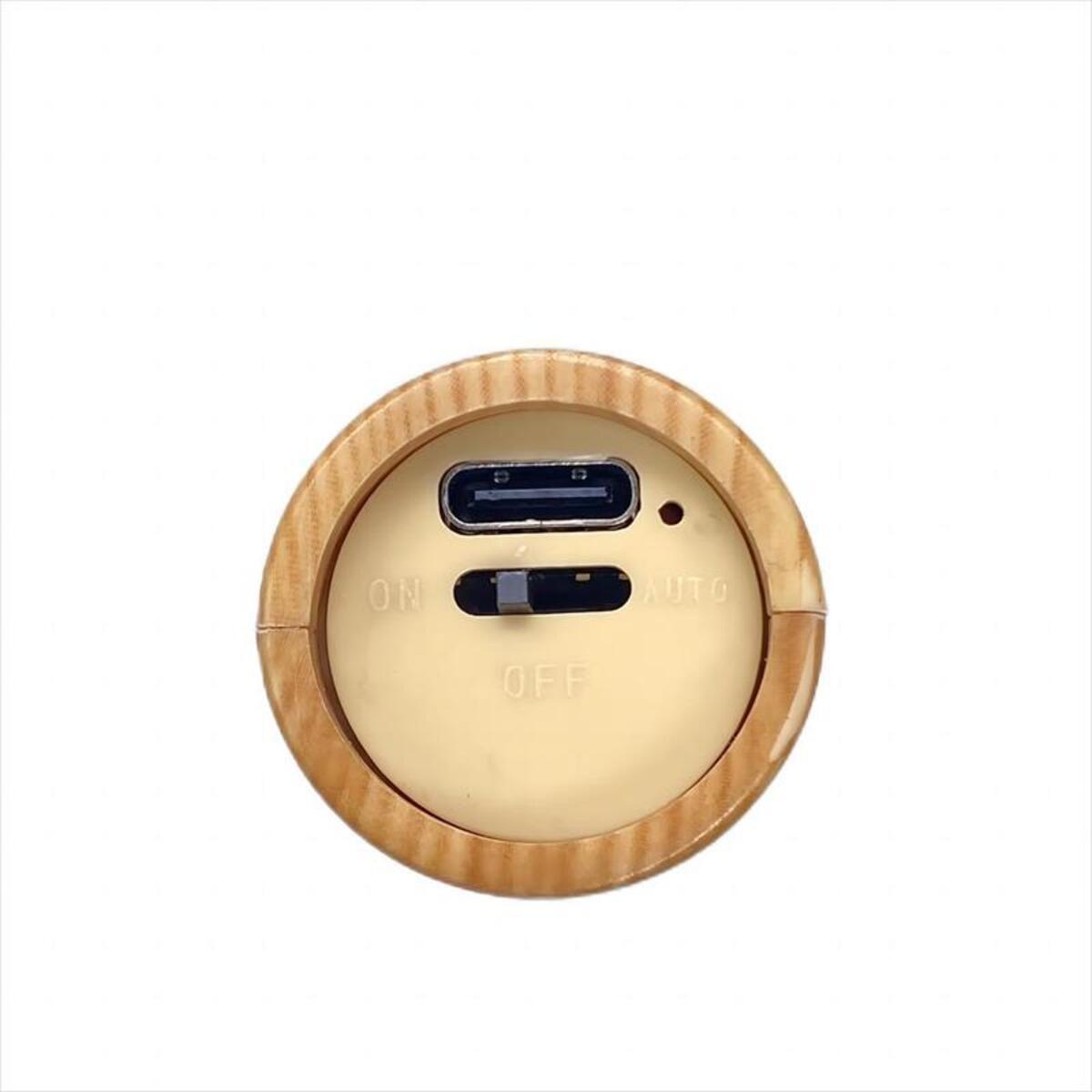Rechargeable motion sensor night light magnetic wooden wall lamp with gold backplate and USB on Tampa Home & Garden Store