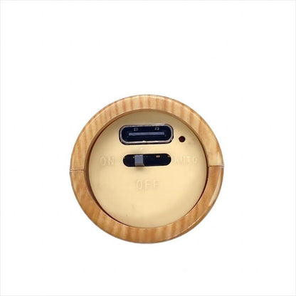 Rechargeable motion sensor night light magnetic wooden wall lamp with gold backplate and USB on Tampa Home & Garden Store