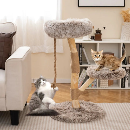 Modern Wooden Cat Tree With Perch and Jute Posts