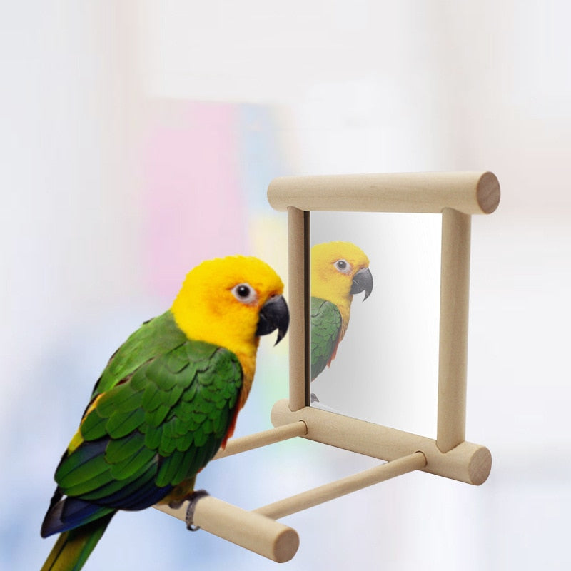 Bird stand with mirror, wooden frame parrot toy, light wood, parrot perched beside mirror on Tampa Home & Garden Store