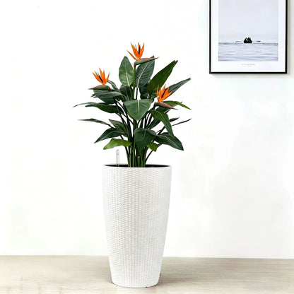 Tall Planters Set with Water Level Monitor