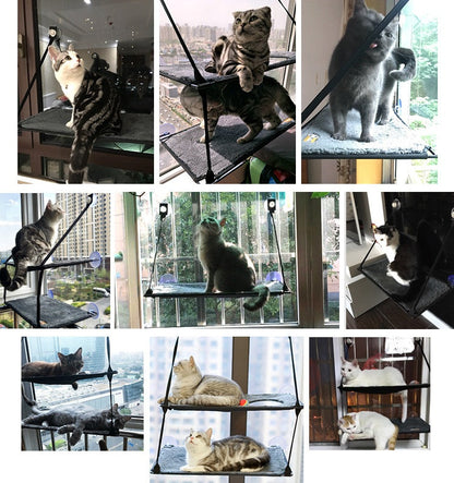 Cat hammock window perch by Sell My Stuff; removable washable pad with strong suction cups on Tampa Home & Garden Store
