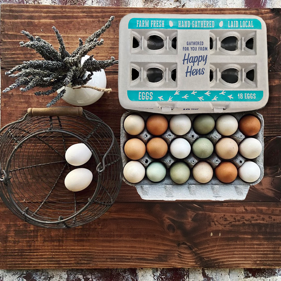 Egg carton 18-pack My Pet Chicken with 18 farm eggs in mixed colors plus 2 eggs in basket on Tampa Home & Garden Store