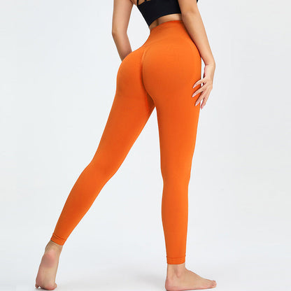 High waist seamless leggings orange by Stevvex for fitness and yoga push up lifting on Tampa Home & Garden Store