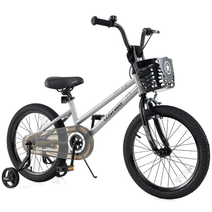 12 Inch Kids Bike Adjustable with Transparent Chain Cover for 3-4 Years Old