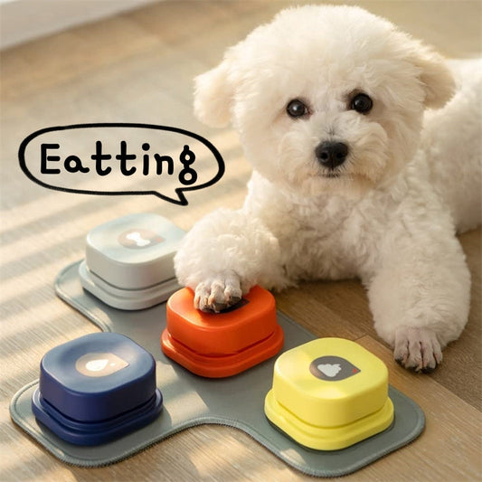 Pet communication button toy four-color set dog presses orange button on mat on Tampa Home & Garden Store