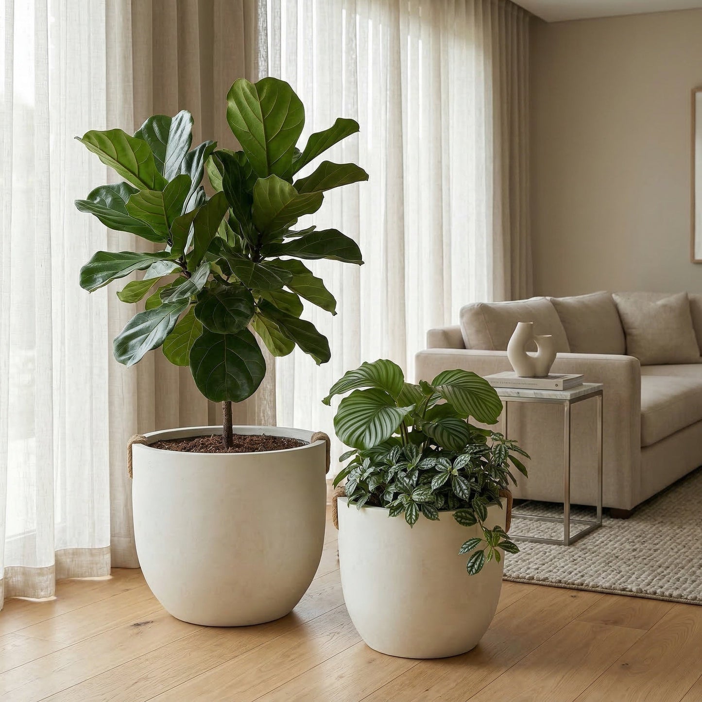 Round concrete planters set of 2, large handmade off-white pots with lush indoor greenery on Tampa Home & Garden Store