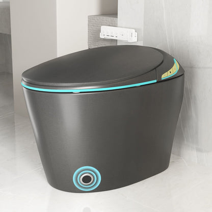 Smart toilet with ceramic bidet in matte black turquoise LED accent HouseOfZazla on Tampa Home & Garden Store