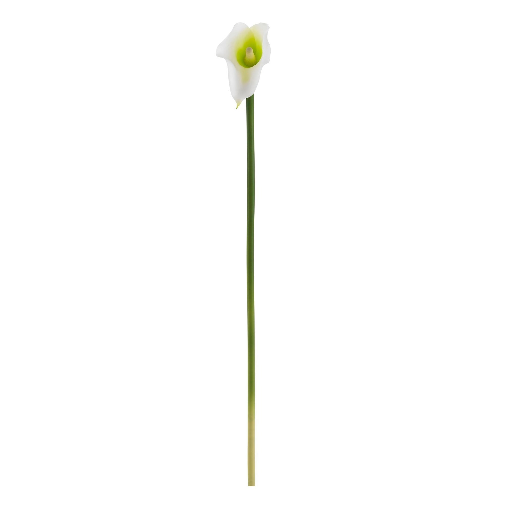 19.5” Calla Lily Artificial Flower (Set of 12) - Tampa Home & Garden Store
