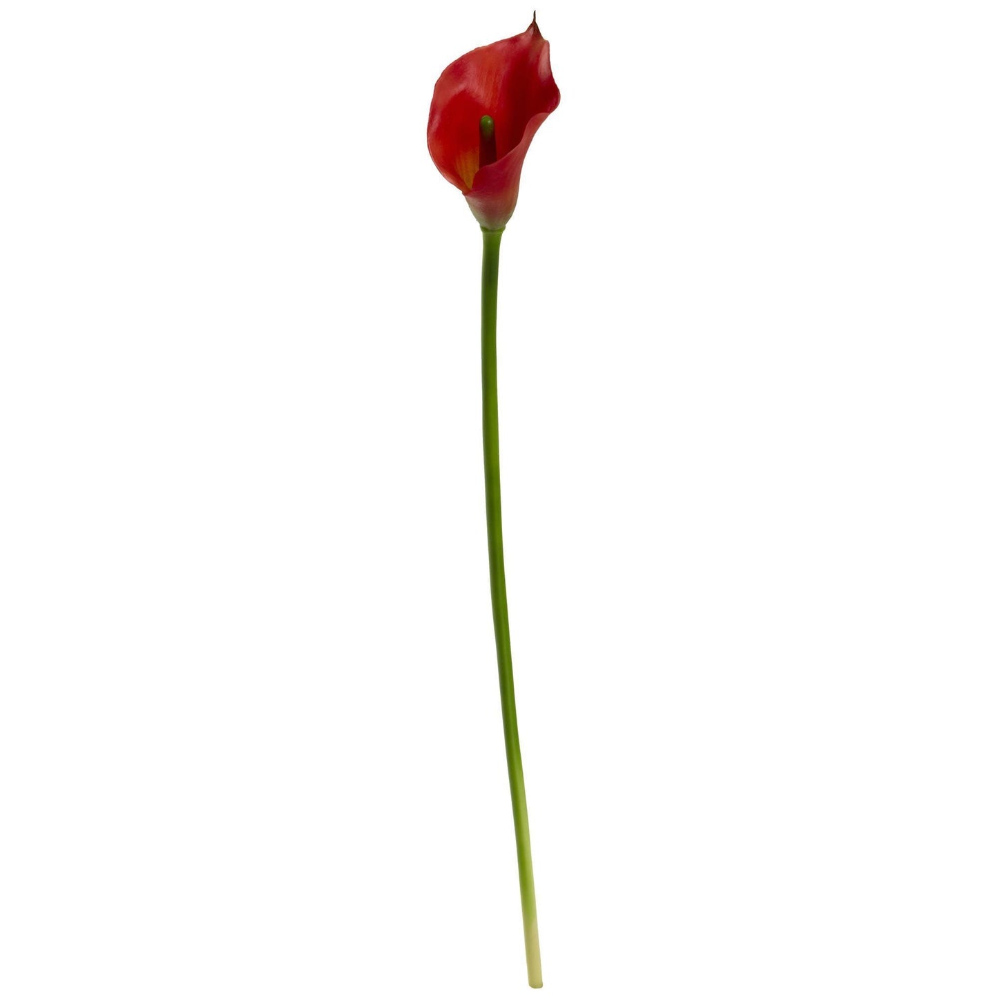19.5” Calla Lily Artificial Flower (Set of 12) - Tampa Home & Garden Store