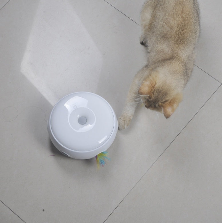 Electric cat toy donut turntable, white round device with rainbow feather wand, cat nearby on Tampa Home & Garden Store