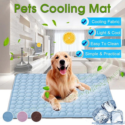 Dog Cooling Mat blue ice-silk surface; breathable non-toxic bed in a bright living room on Tampa Home & Garden Store