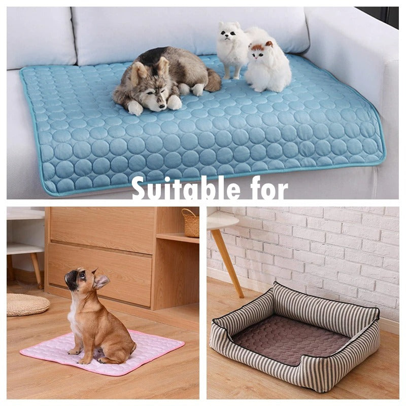 Dog cooling mat set: blue circular-quilted mat on sofa, pink mat for small dogs, striped pet bed on Tampa Home & Garden Store