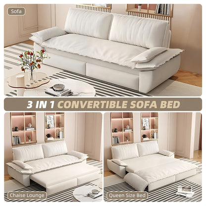 Queen Sleeper Bed and a 3 in 1 Convertible Sofa