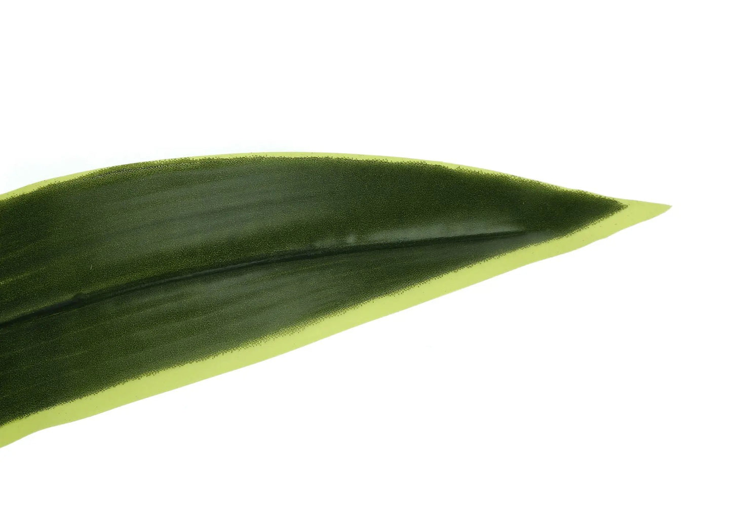 Dracaena leaf close-up; faux plant leaf, dark green with lime edge, Unique Piece Furniture on Tampa Home & Garden Store