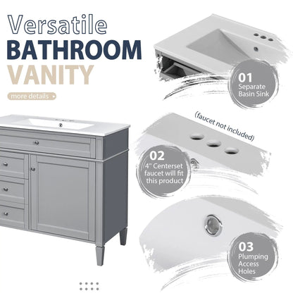 Bathroom Vanity With Mirror Cabinet, gray finish, single sink, 2 soft-close doors and 4 drawers on Tampa Home & Garden Store