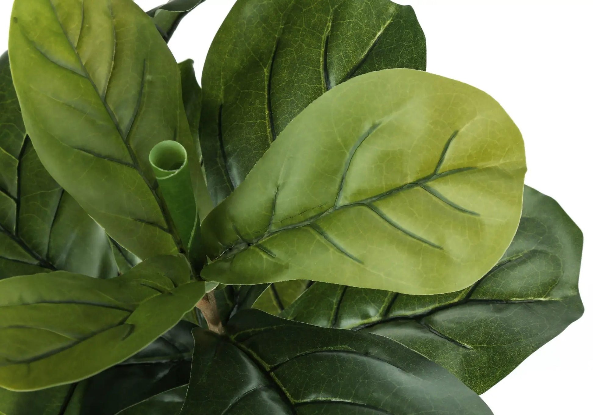 Fiddle leaf artificial plant with green leaves, real-touch floor plant by Unique Piece Furniture on Tampa Home & Garden Store