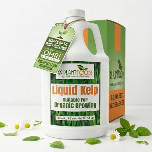 Liquid Kelp fertilizer GS Plant Foods in white bottle with green label, OMRI listed, 1 gallon on Tampa Home & Garden Store