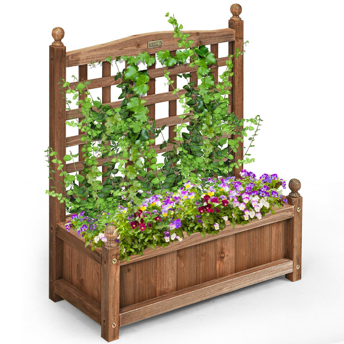 Wood planter box with trellis and climbing vines in a natural brown finish by LJGDeals on Tampa Home & Garden Store