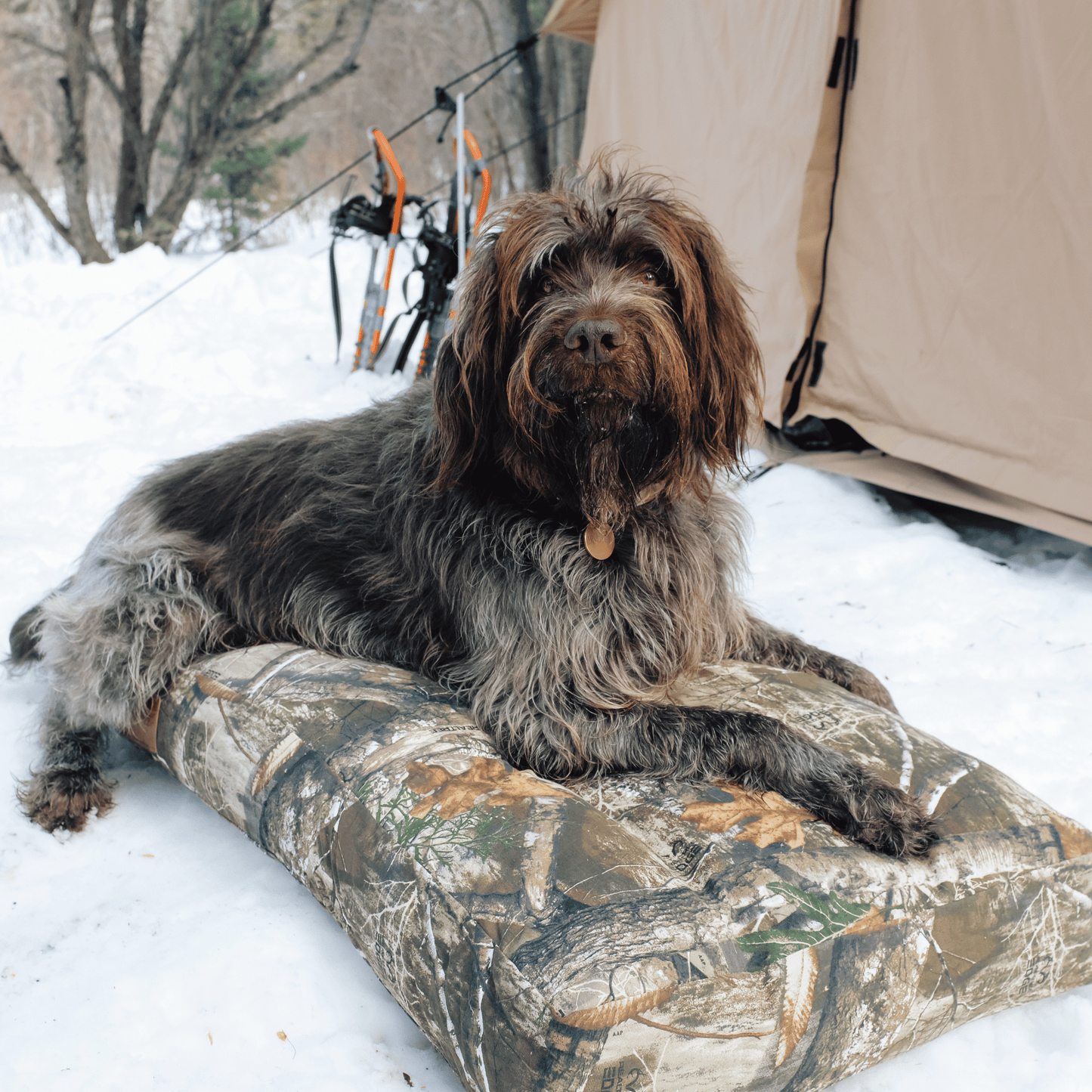 Dog Beds & Dog Bed Covers