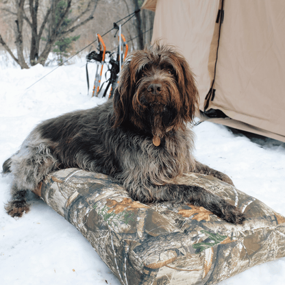 Dog Beds & Dog Bed Covers