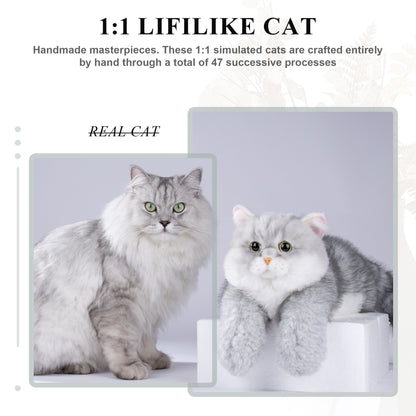 Soft and Lying Silver British Shorthair Plush