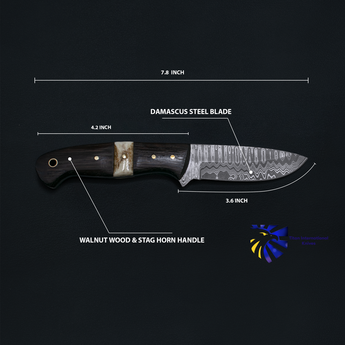 Damascus Steel Custom EDC/Hunting Knife TK-019 by Titan, walnut wood and stag horn handle on Tampa Home & Garden Store