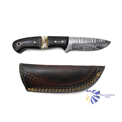 Damascus TK-019 EDC knife by Titan International K, dark wood handle on Tampa Home & Garden Store