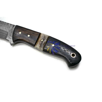 Damascus steel custom EDC knife TK-019 with dark wood handle and brass pins by Titan Int'l K on Tampa Home & Garden Store