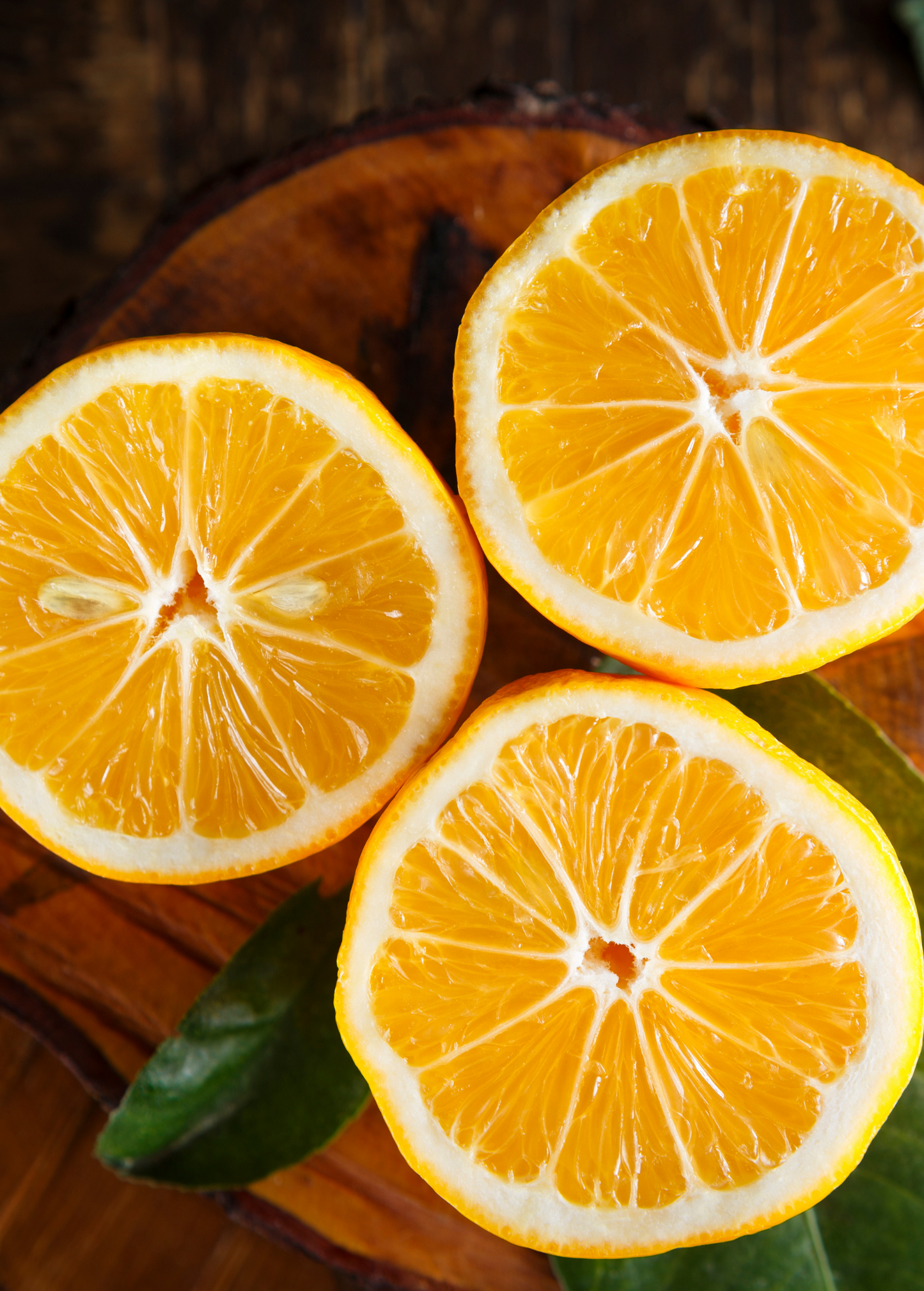 Meyer Lemon Tree (Citrus × meyeri)