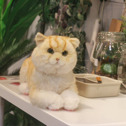 Golden Brtitish Short Hair Cat Plush – Weighted Emotional Support Toy Gift